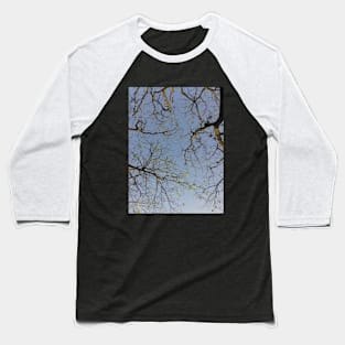 Trees leaves and sky Baseball T-Shirt